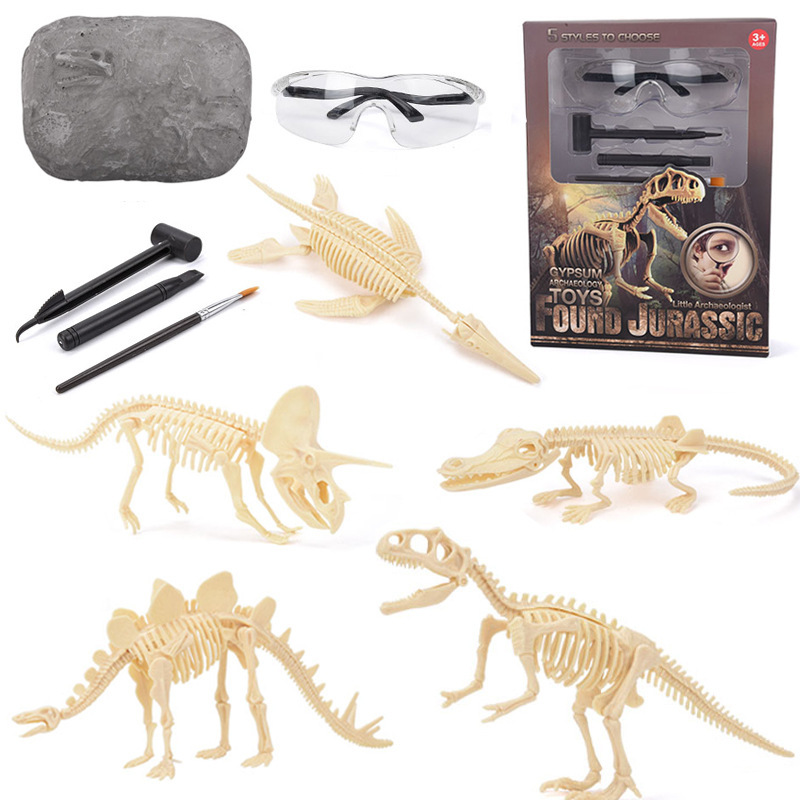Science Toy - Dinosaurier-Fossil-Ausgrabungsset STEM Ausgrabbare Dinosaurierskelett-Modelle Lehrreiche Wissenschaftsgeschenke