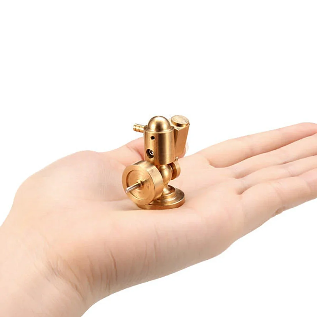 Modell Physikalische Wissensch – Science Toy Bewertung und Preis