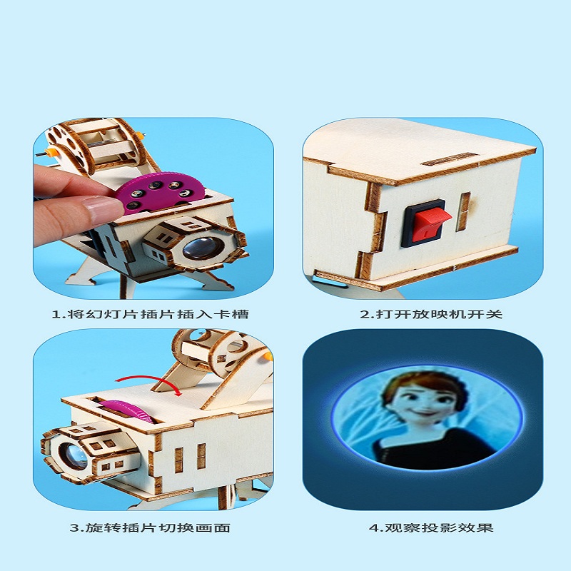 DIY Holz Wissenschaft Projekt  – Science Project Kit Bewertung und Preis