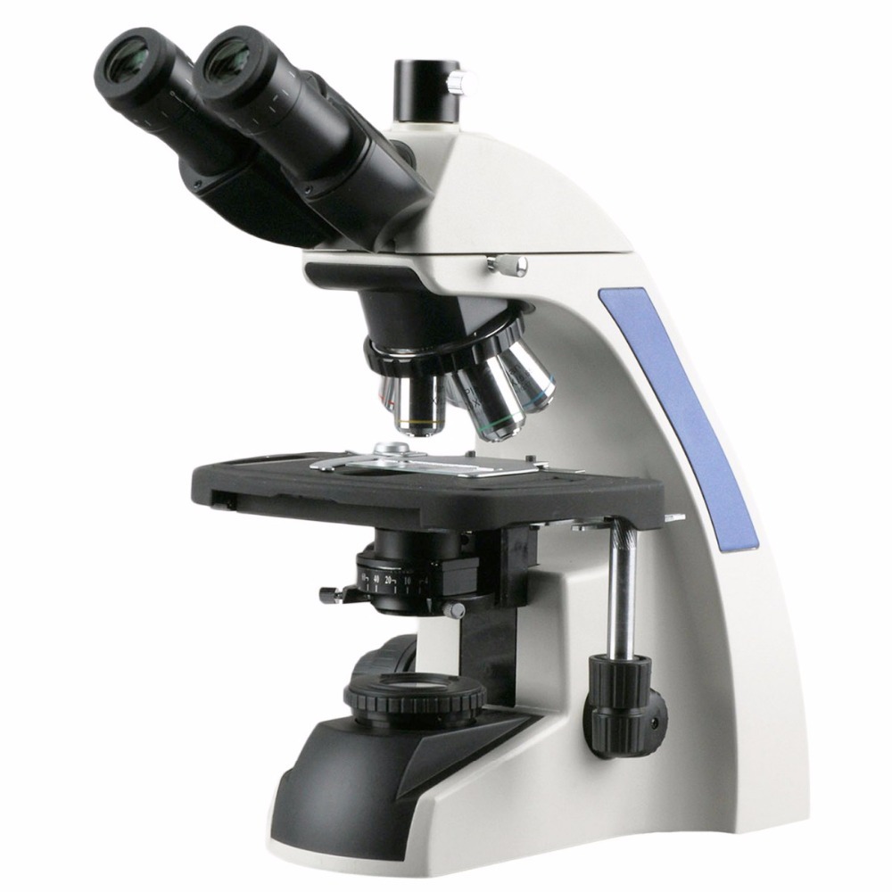 AmScope T720 Serie Unendlich-k – Amscope Microscope Compound 40X-1000X Bewertung und Preis