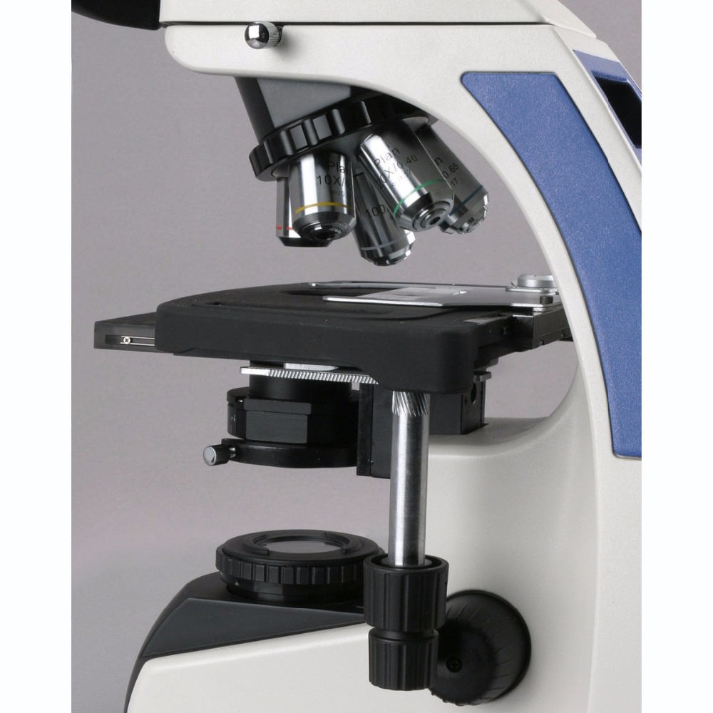 AmScope T720 Serie Unendlich-k – Amscope Microscope Compound 40X-1000X Bewertung und Preis