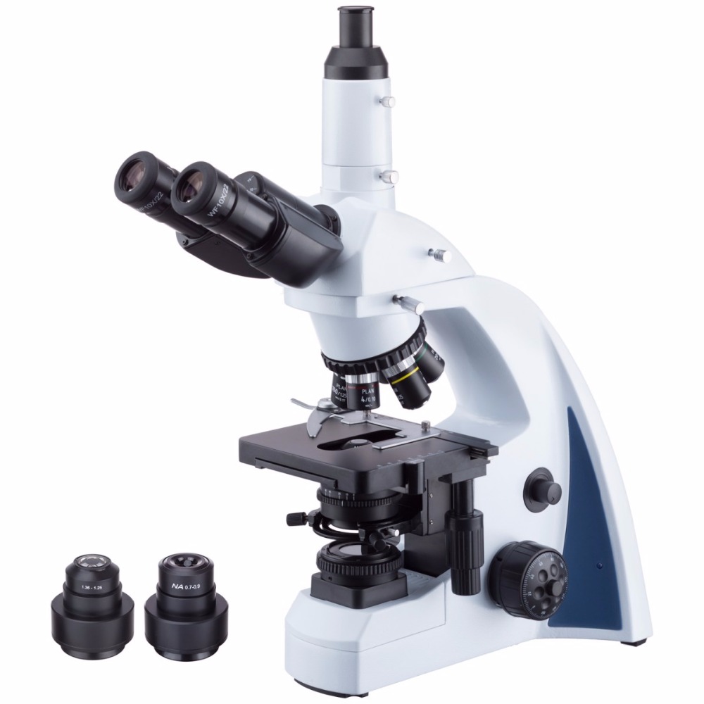 AmScope Infinity-corrected Dar – Amscope Microscope Compound 40X-1000X Bewertung und Preis