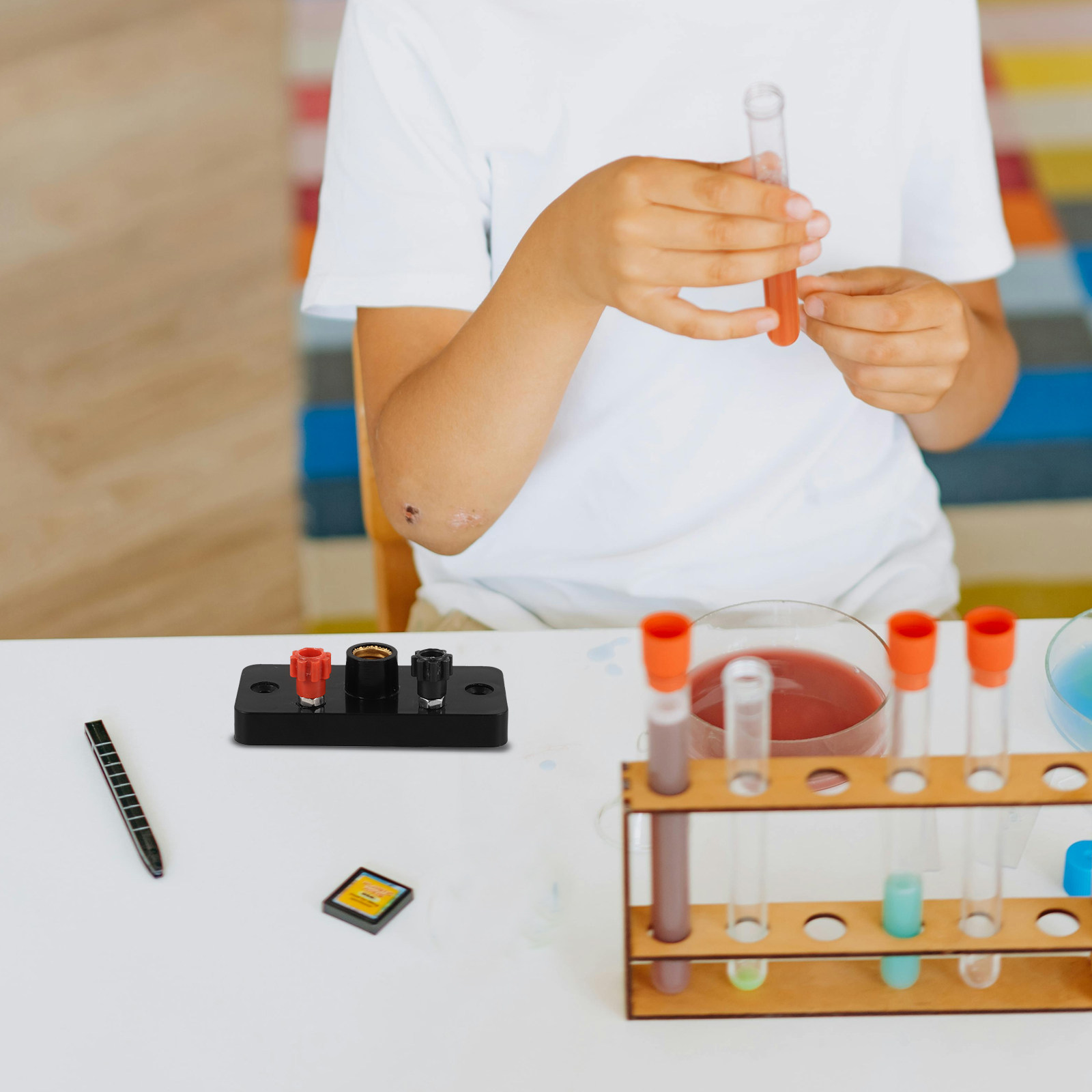 E10-Lampenfassung, Schraubtyp, – Science Experiment Bewertung und Preis