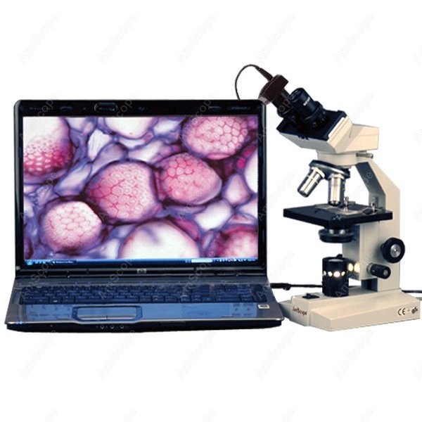 AmScope B100 Serie Biologische – Amscope Microscope Compound 40X-1000X Bewertung und Preis