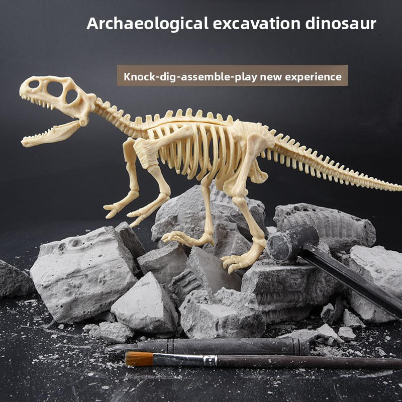 Dinosaurier-Fossil-Ausgrabungs – Science Toy Bewertung und Preis